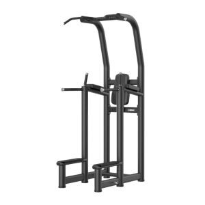 FM6008 PARALLEL BAR / DIP