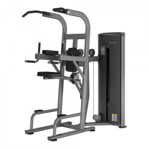 WA008 ASSISTED CHIN DIPS