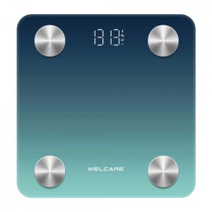 WC137 BMI SCALE BLUE